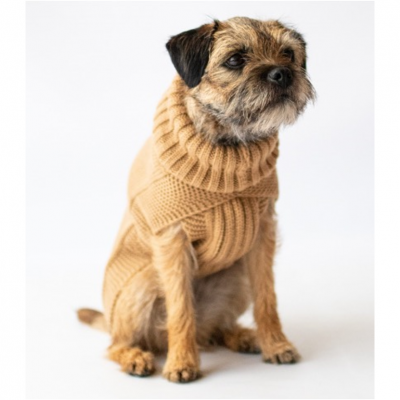 The Jazz Dog Jumper in Camel